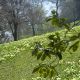 dsc_9700_copy.jpg