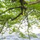 DSC_5727_copy.jpg