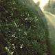 choice2-L.jpg