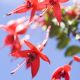 dsc_1120_copy.jpg
