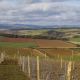 9dsc_7988_copy.jpg