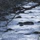 DSC_2495_copy.jpg